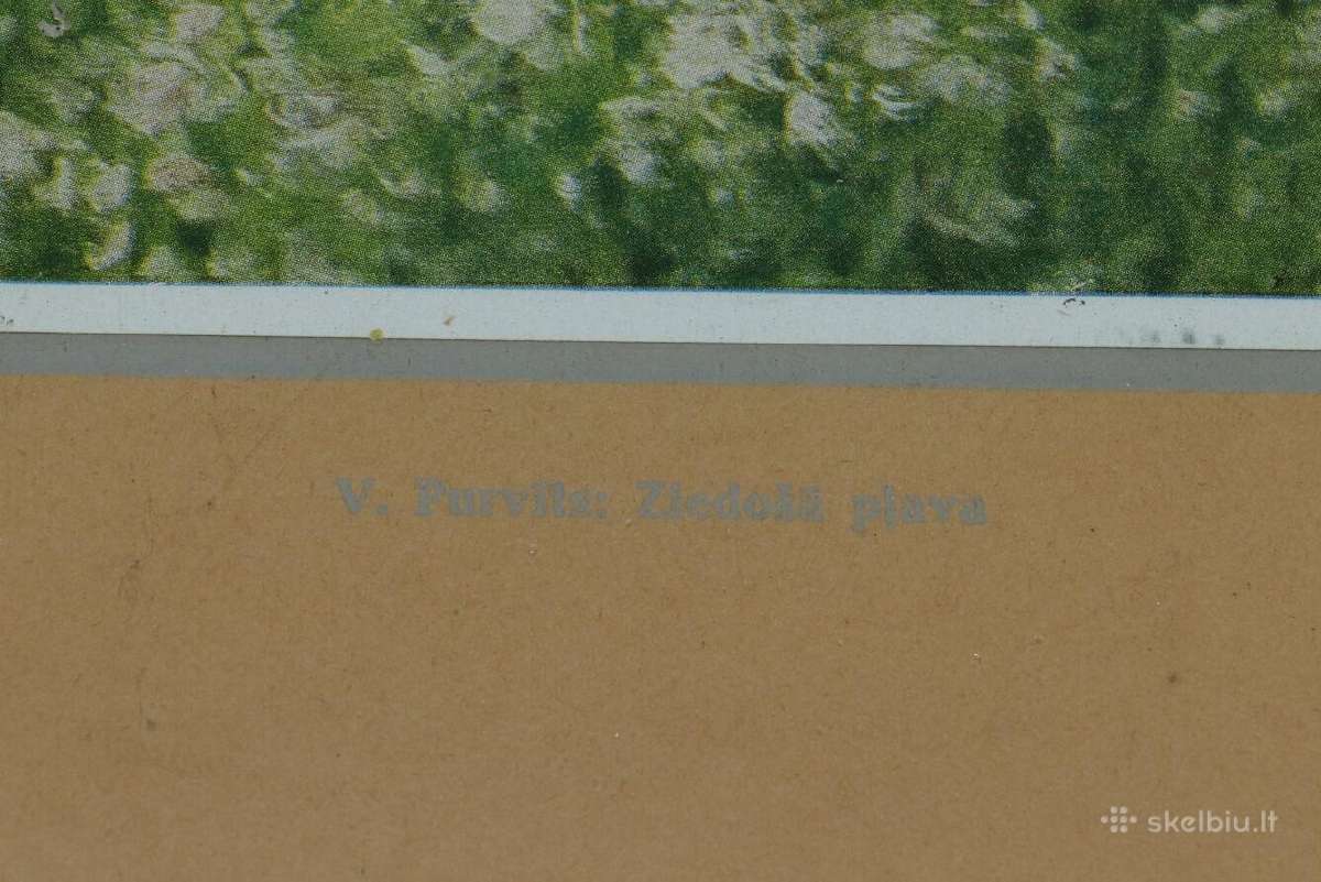 Printas kaina 25 eurai - nuotraukos Nr. 4