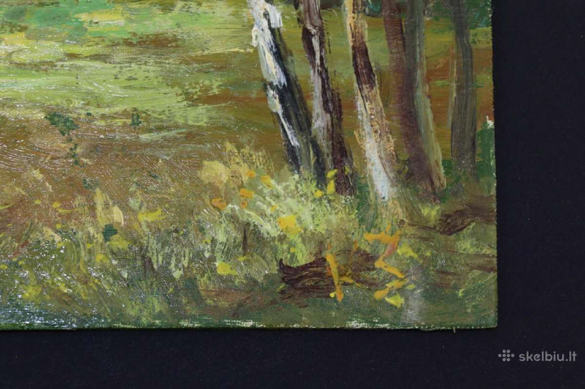 Daug Latviu dailininku paveikslu Kartonas aliejin. - nuotraukos Nr. 20