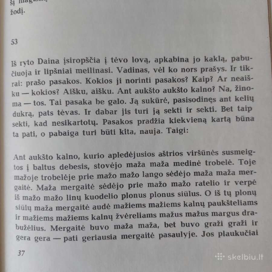 E. Mieželaitis - mergaitės Dainos Dienoraštis . - nuotraukos Nr. 11