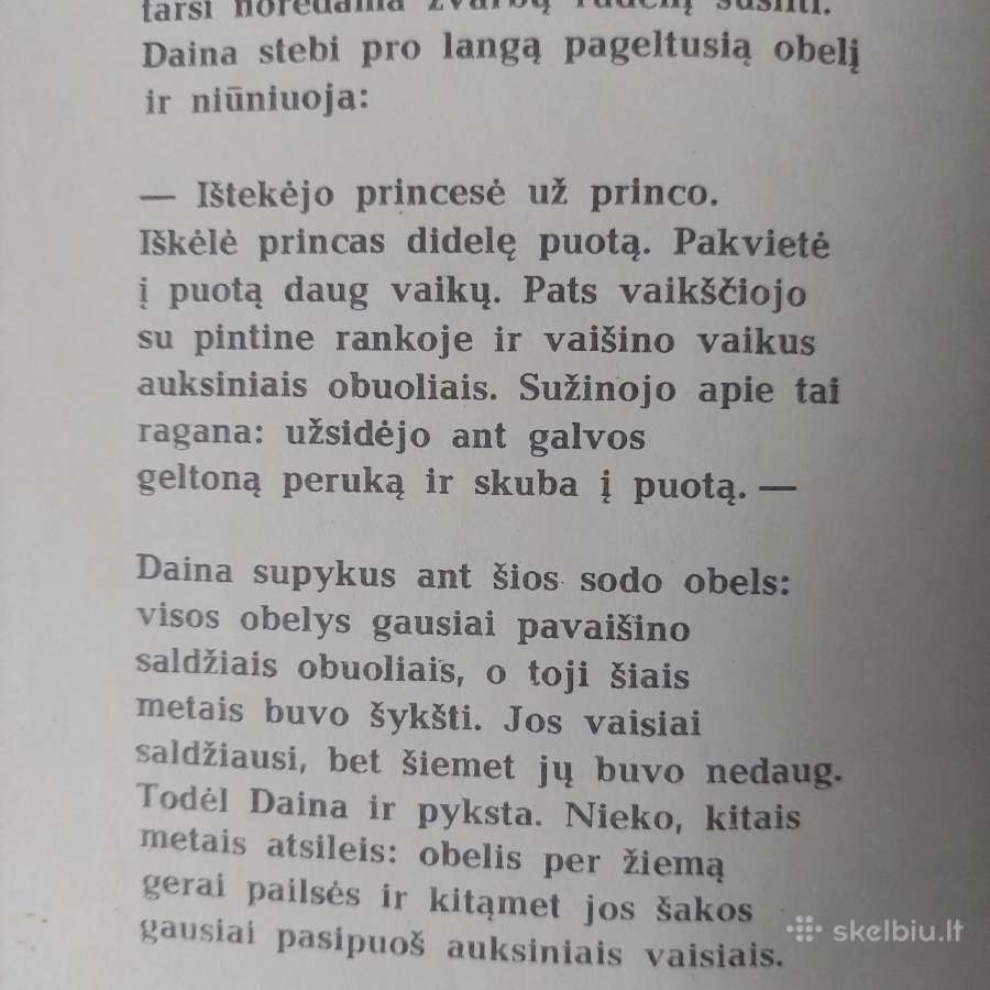 E. Mieželaitis - mergaitės Dainos Dienoraštis . - nuotraukos Nr. 18
