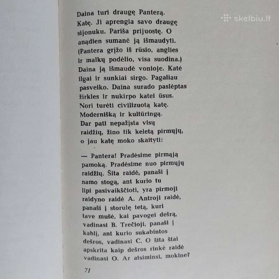 E. Mieželaitis - mergaitės Dainos Dienoraštis . - nuotraukos Nr. 21