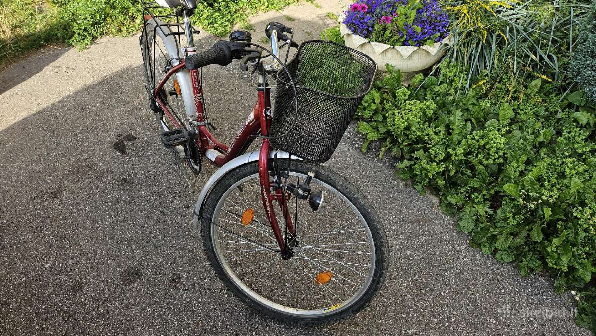 City bike Extreme - nuotraukos Nr. 2