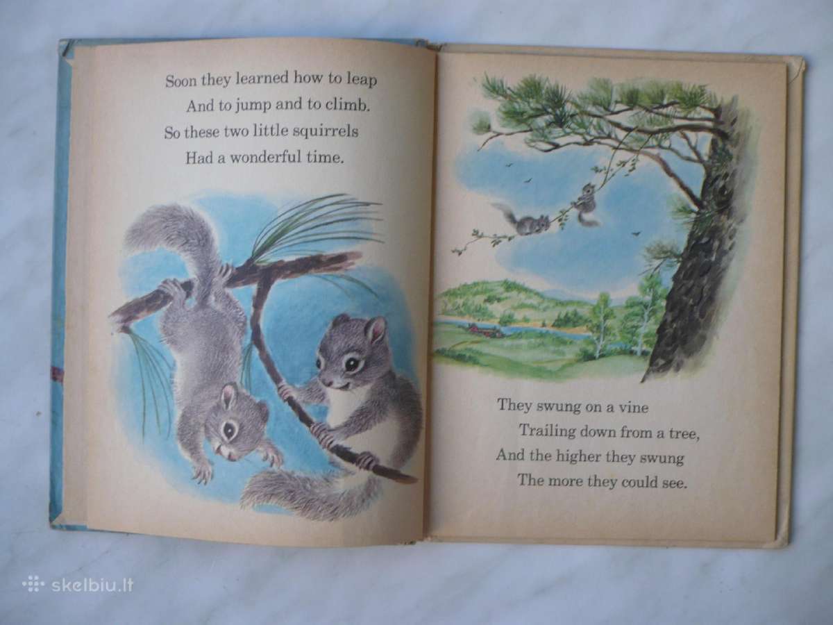 The squirrel twins - nuotraukos Nr. 2
