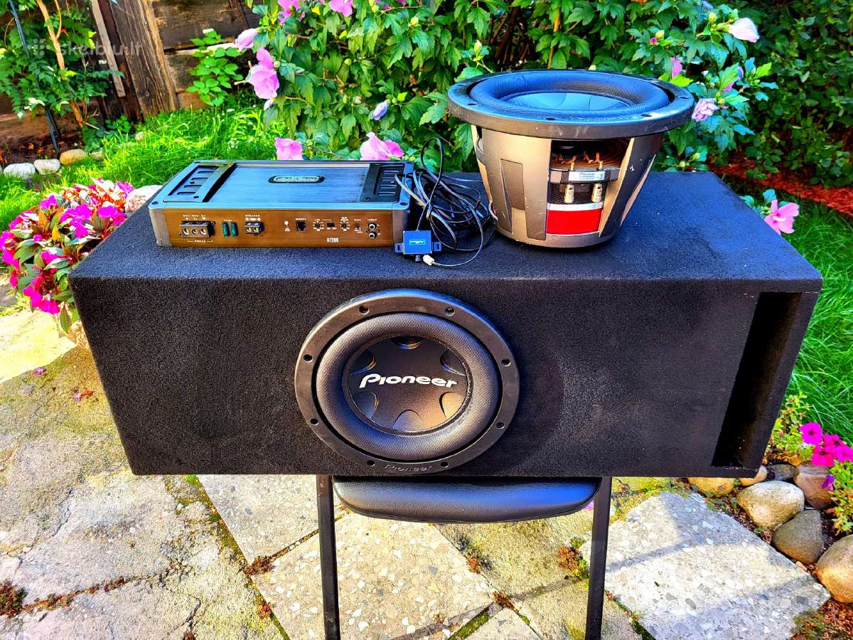 Pioneer 12 tukas 3000w