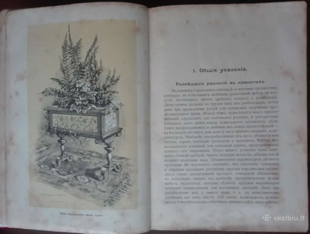 1716. Комнатное Садоводство Уход За Комнатными Рас - nuotraukos Nr. 6
