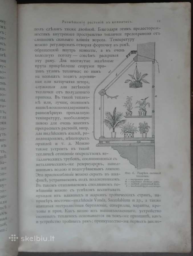 1716. Комнатное Садоводство Уход За Комнатными Рас - nuotraukos Nr. 7