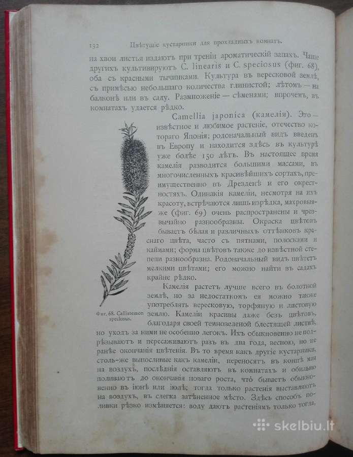 1716. Комнатное Садоводство Уход За Комнатными Рас - nuotraukos Nr. 11