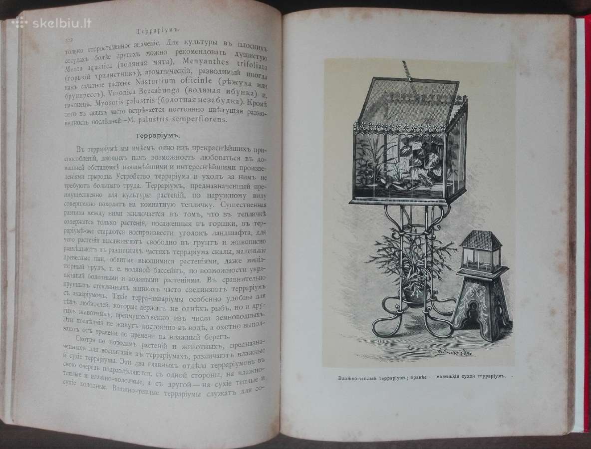 1716. Комнатное Садоводство Уход За Комнатными Рас - nuotraukos Nr. 20