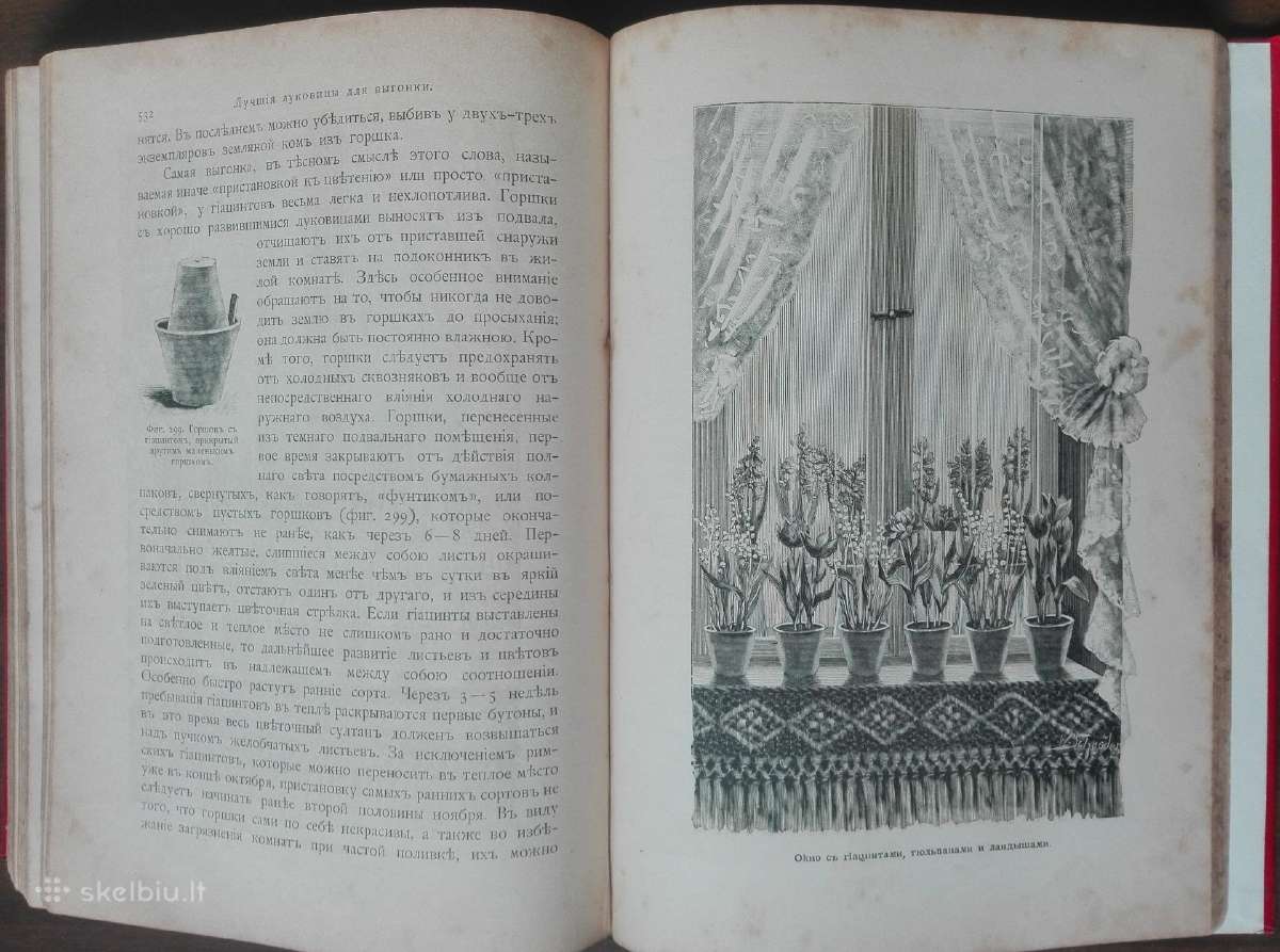 1716. Комнатное Садоводство Уход За Комнатными Рас - nuotraukos Nr. 21