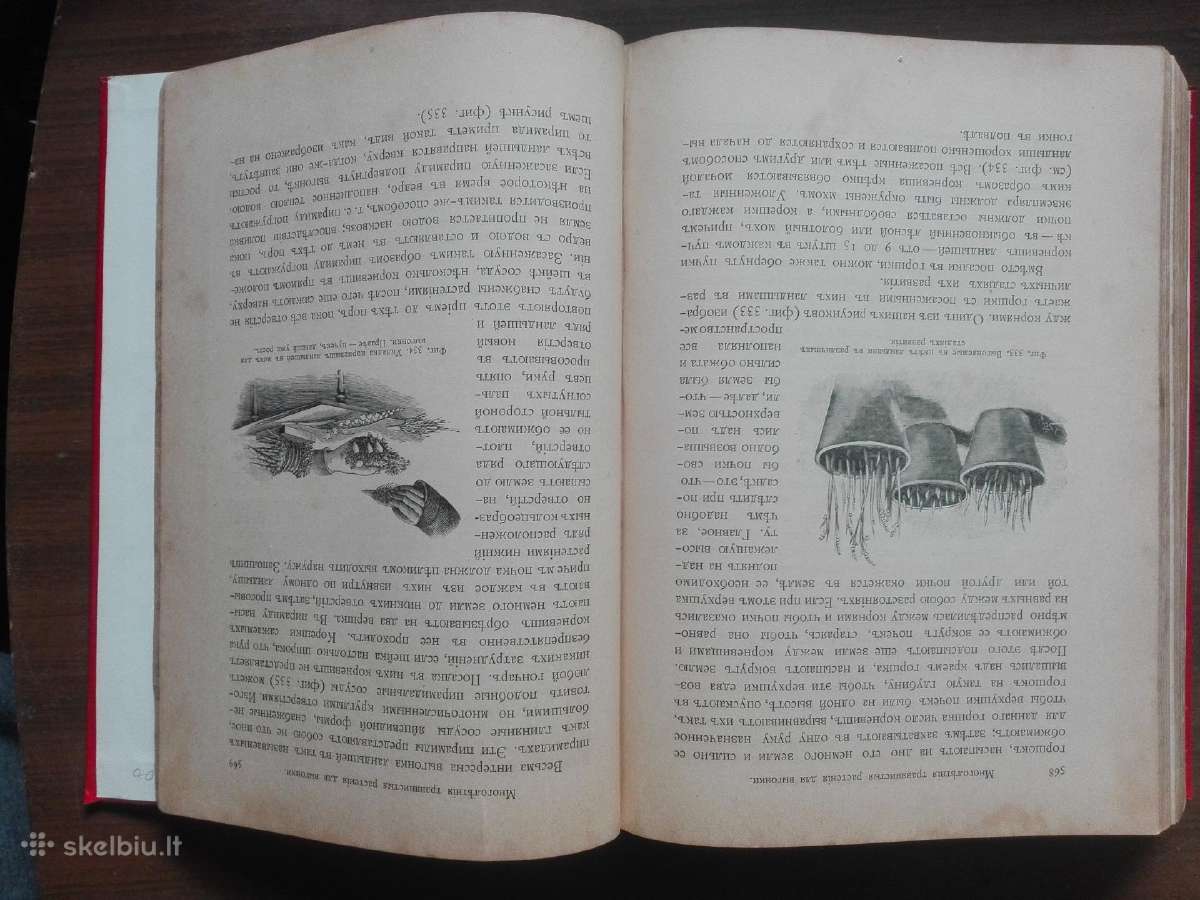 1716. Комнатное Садоводство Уход За Комнатными Рас - nuotraukos Nr. 23