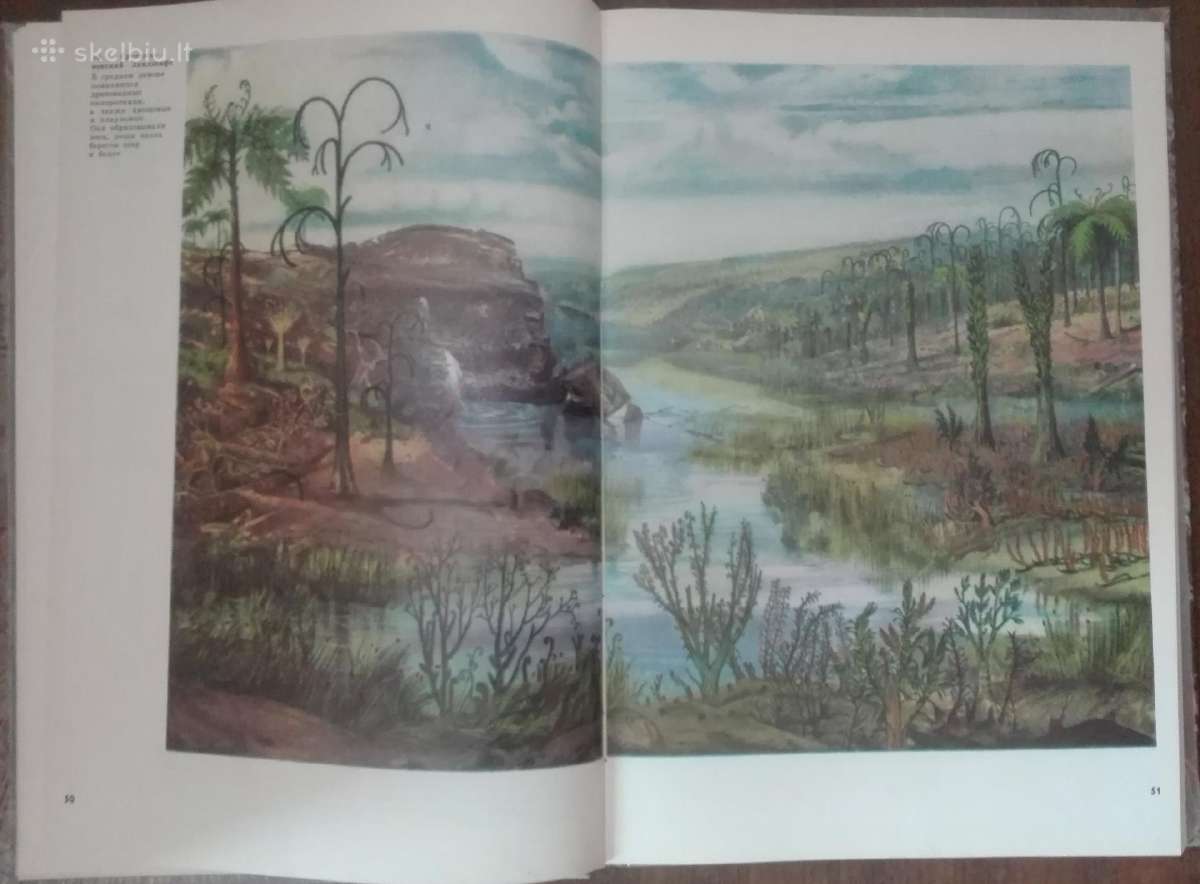 1718. Происхождение И Развитие Океана Богданов Ю. - nuotraukos Nr. 6