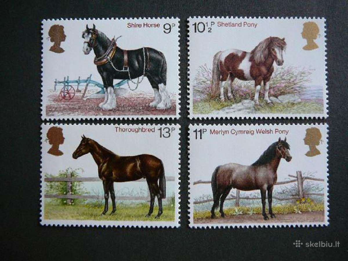 Arkliai Anglija svarus uk453