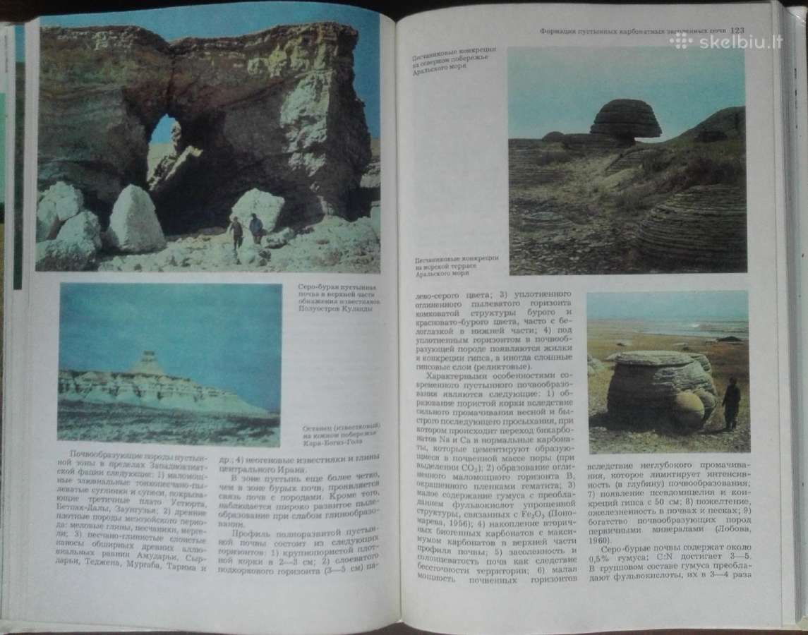 1724. Почвы Лобова Е. В. - nuotraukos Nr. 6