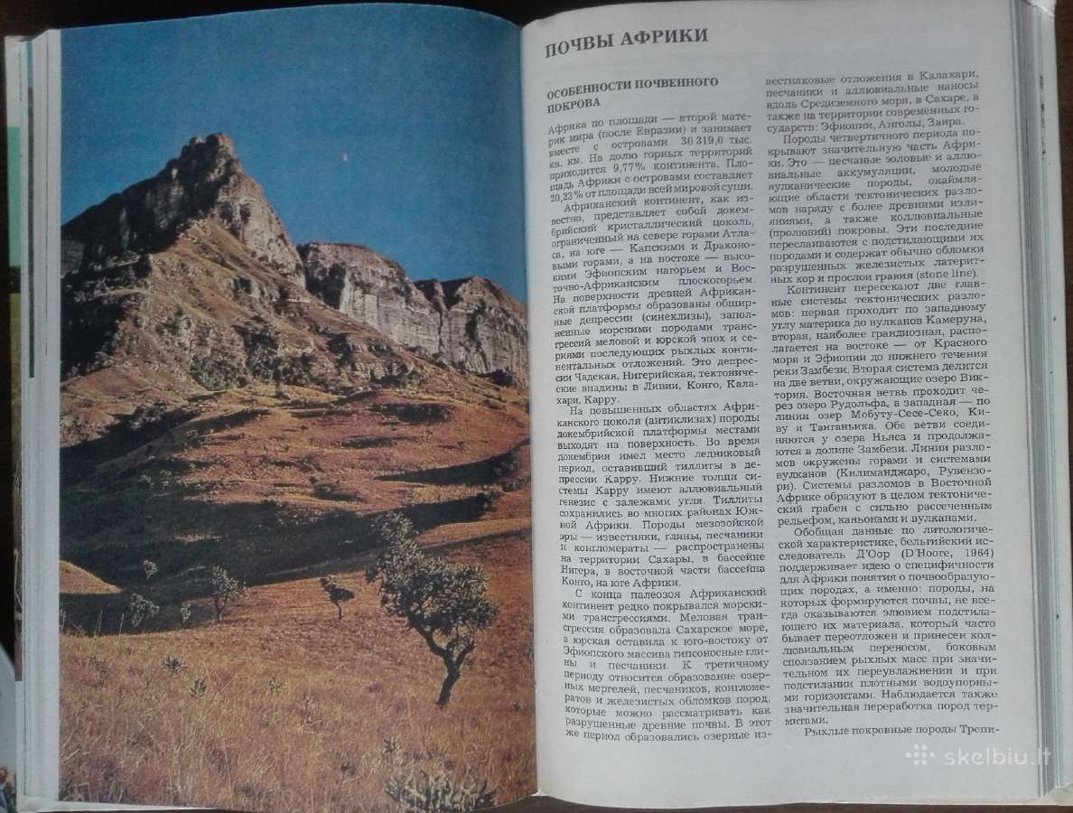 1724. Почвы Лобова Е. В. - nuotraukos Nr. 7