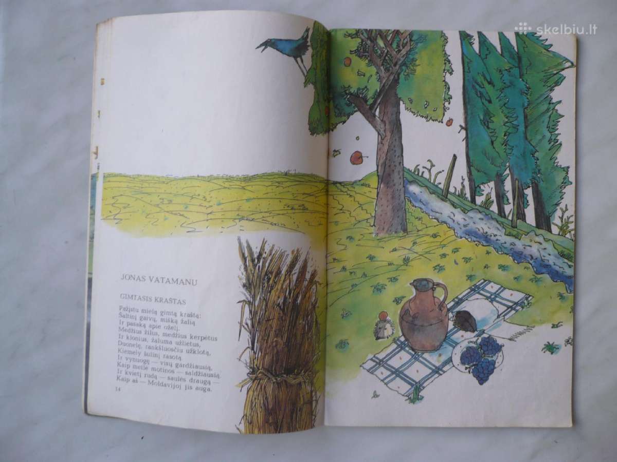 Gandras virš vynuoginų - nuotraukos Nr. 2
