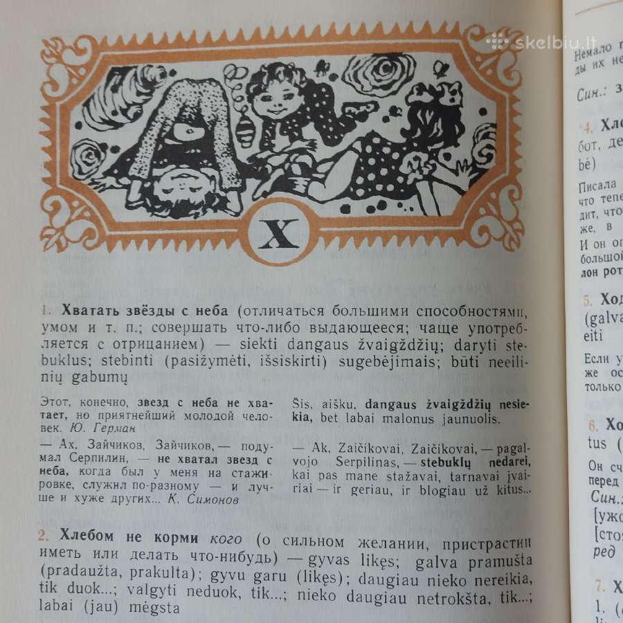 Mokyklinis rusų-lietuvių frazeologijos žodynas - nuotraukos Nr. 11