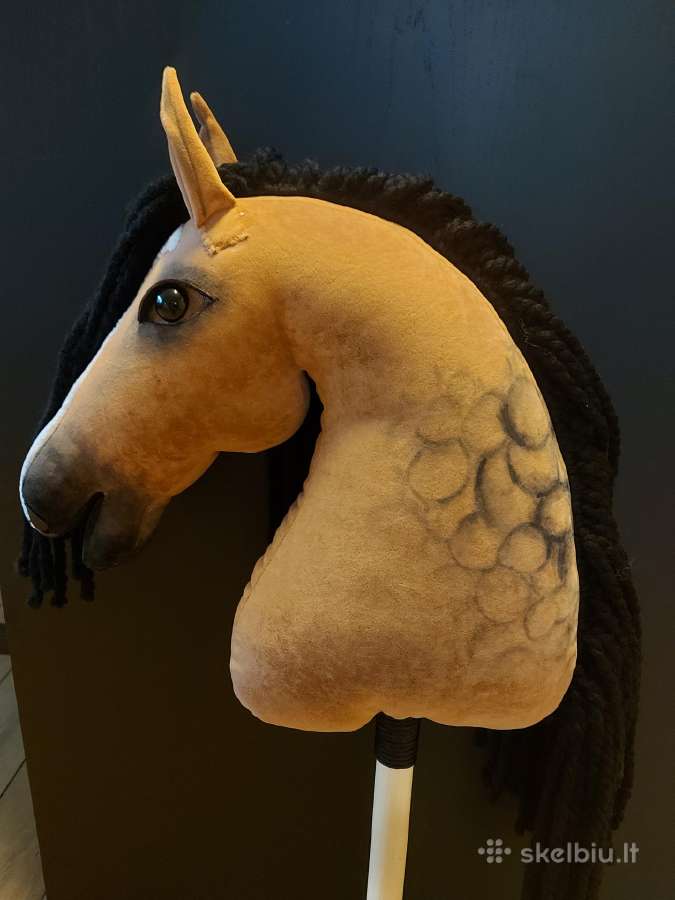 Hobby Horsing Arkliukai - nuotraukos Nr. 6
