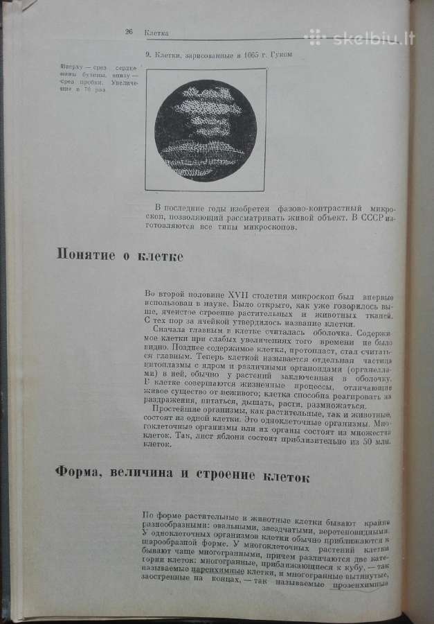 1727. Ботаника С Основами Общей Биологии Журбин А. - nuotraukos Nr. 5