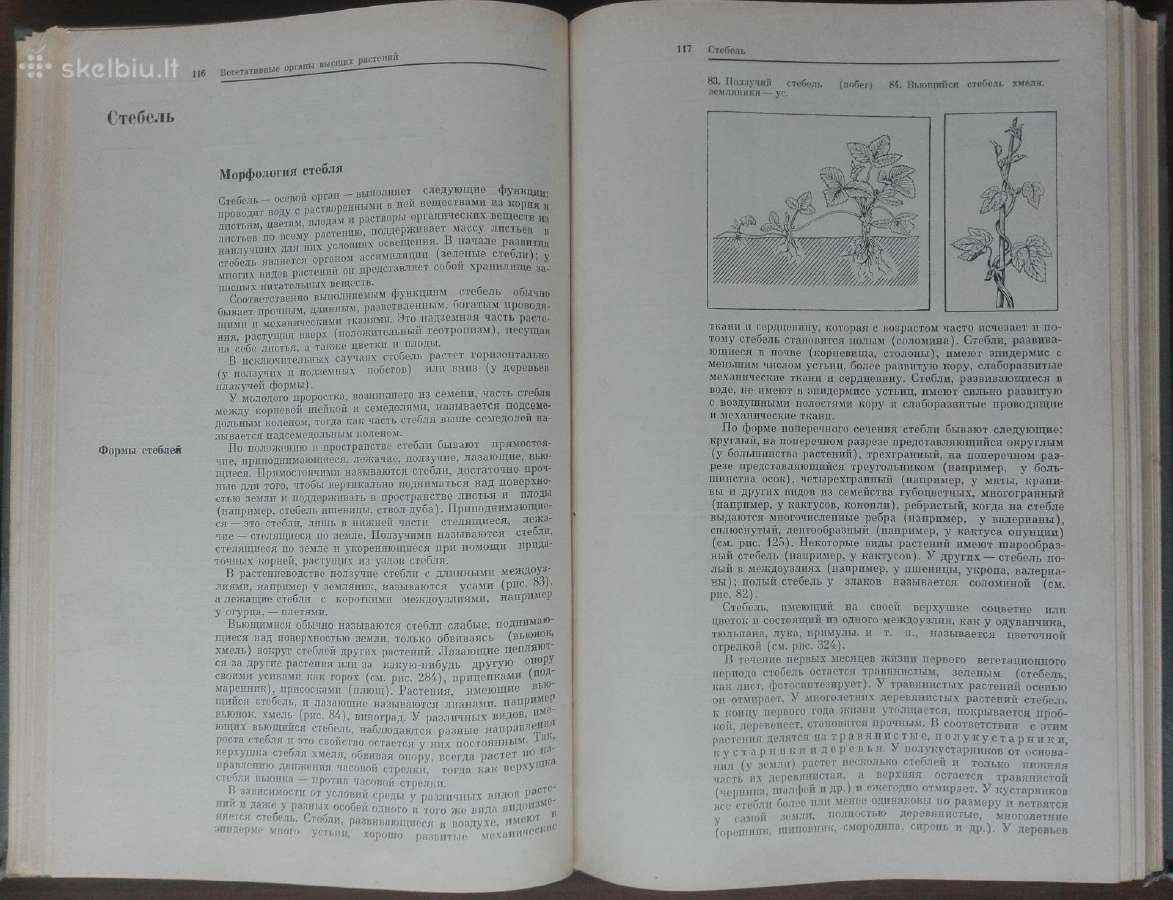1727. Ботаника С Основами Общей Биологии Журбин А. - nuotraukos Nr. 6