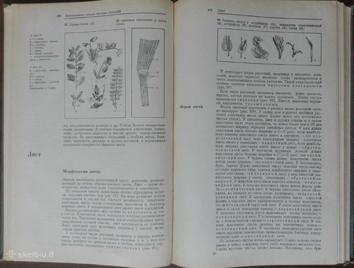 1727. Ботаника С Основами Общей Биологии Журбин А. - nuotraukos Nr. 7