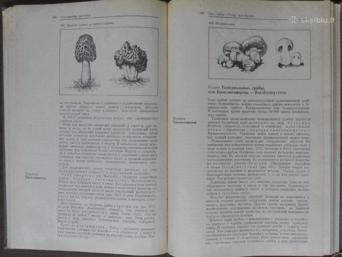 1727. Ботаника С Основами Общей Биологии Журбин А. - nuotraukos Nr. 9