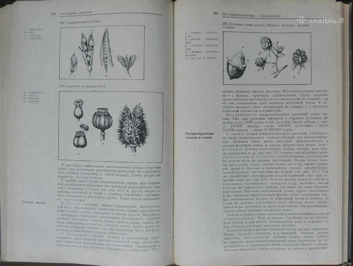 1727. Ботаника С Основами Общей Биологии Журбин А. - nuotraukos Nr. 10