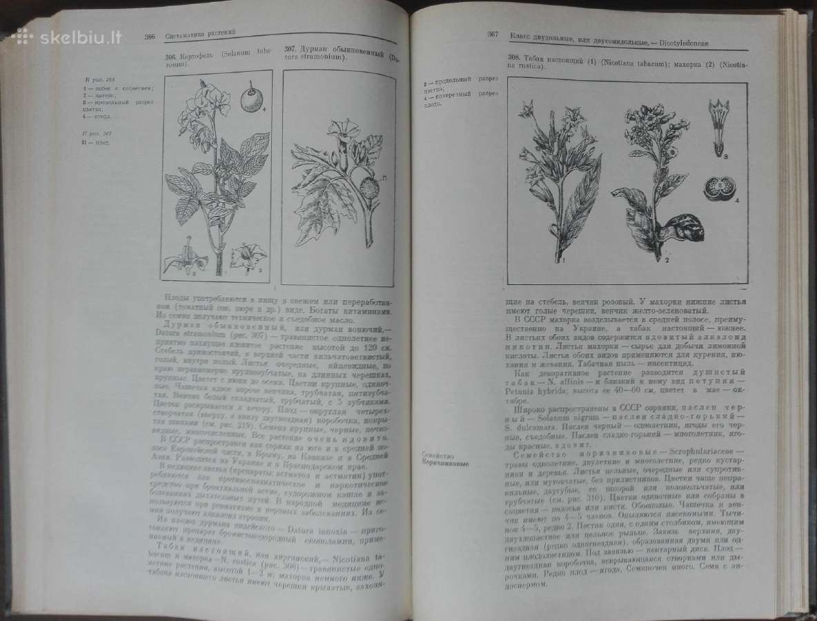 1727. Ботаника С Основами Общей Биологии Журбин А. - nuotraukos Nr. 12