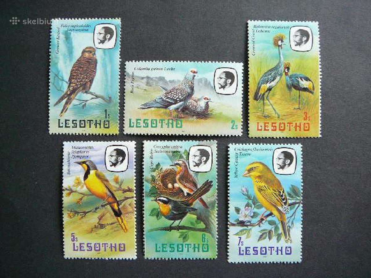 Pauksciai Lesotas 1982 svarus les677