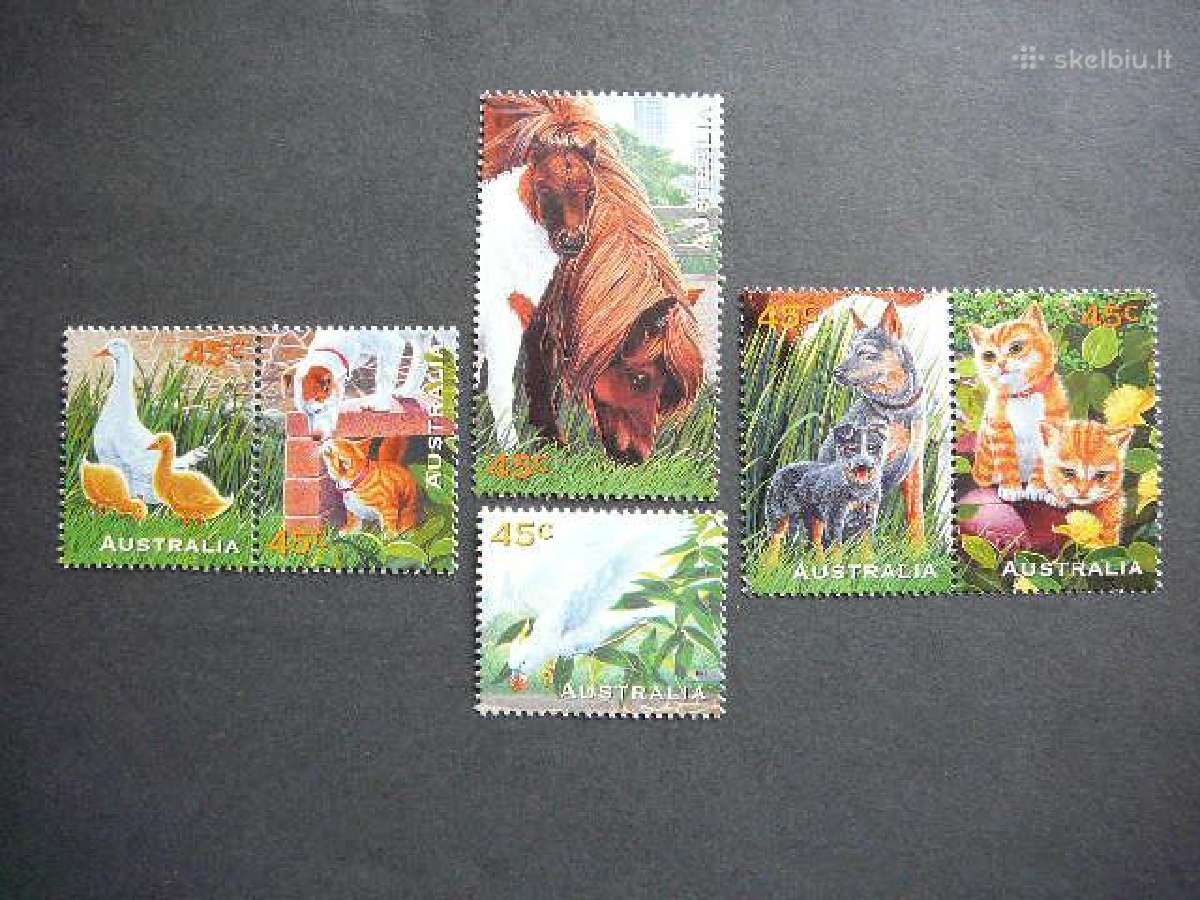 Kates Sunys Arkliai Papugos Australija Mnh ast19