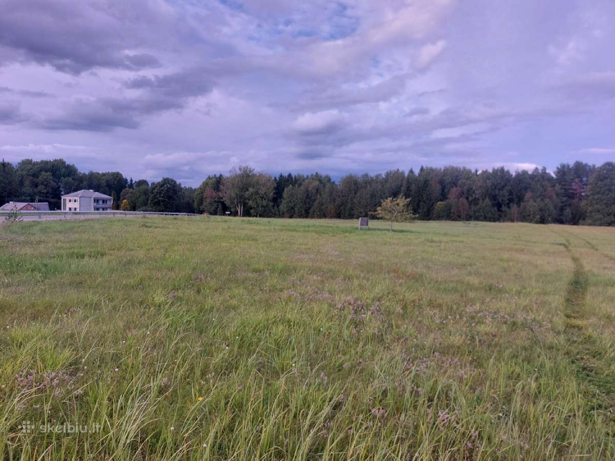 Sklypas prie Lūksto ežero 1.5 Ha. - nuotraukos Nr. 2
