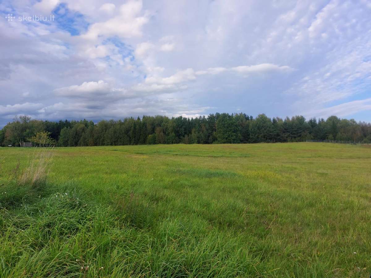 Sklypas prie Lūksto ežero 1.5 Ha. - nuotraukos Nr. 4