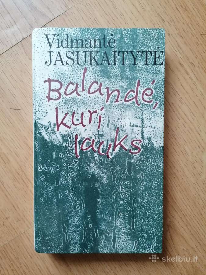 Daug gerų knygu - nuotraukos Nr. 20