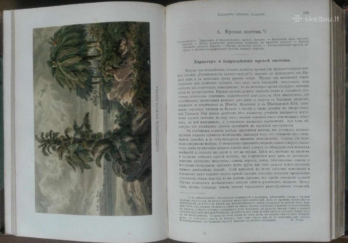 1735. Исторiя Земли Неймайра М. antikvarinė-kolekc - nuotraukos Nr. 21