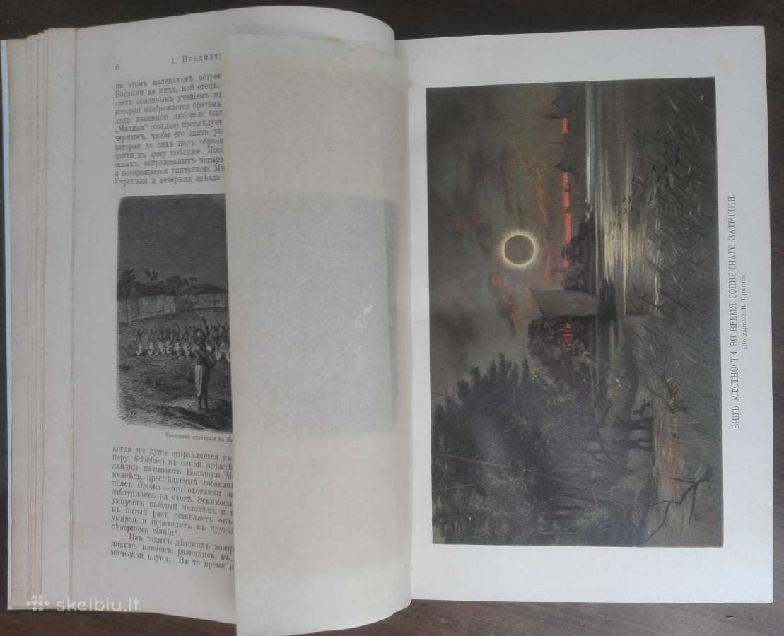 1737. Мiрозданiе М. Вильгельм Мейер - nuotraukos Nr. 7