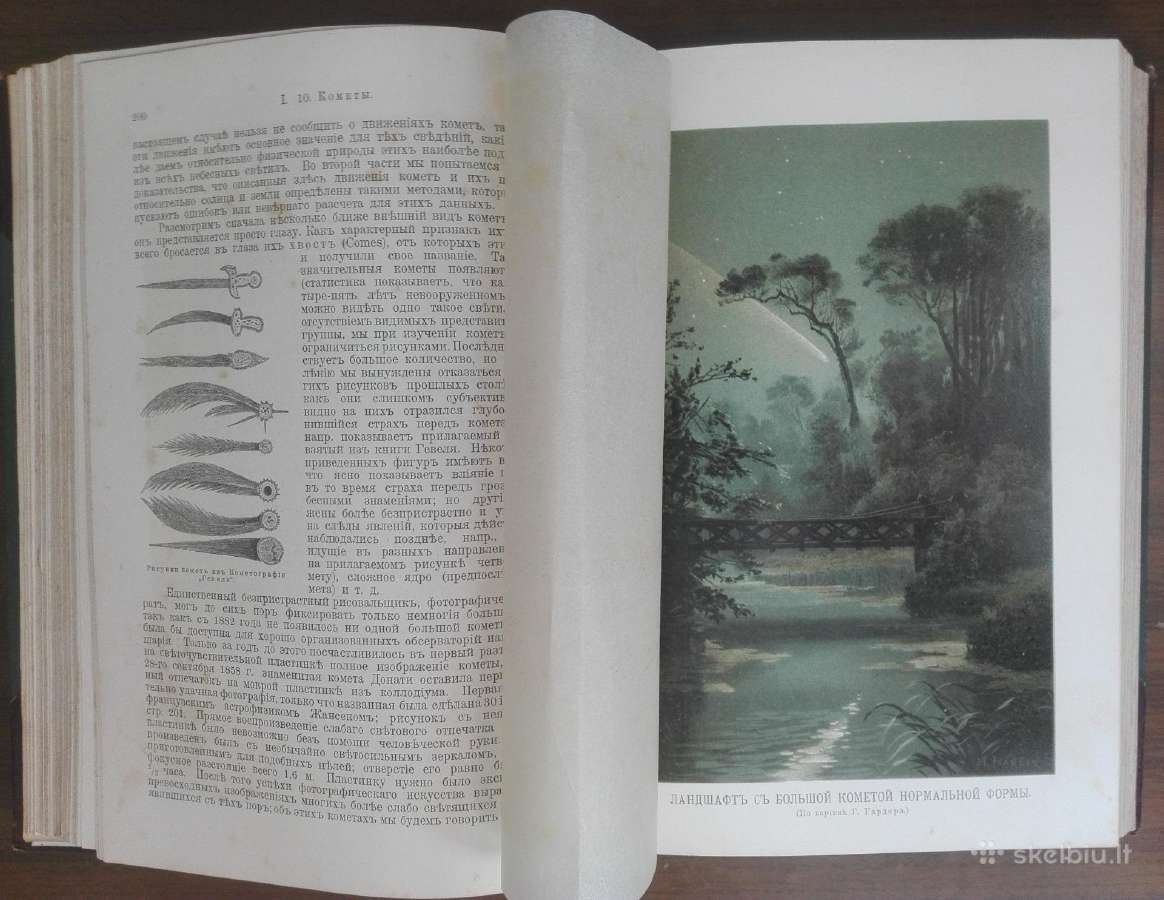 1737. Мiрозданiе М. Вильгельм Мейер - nuotraukos Nr. 12