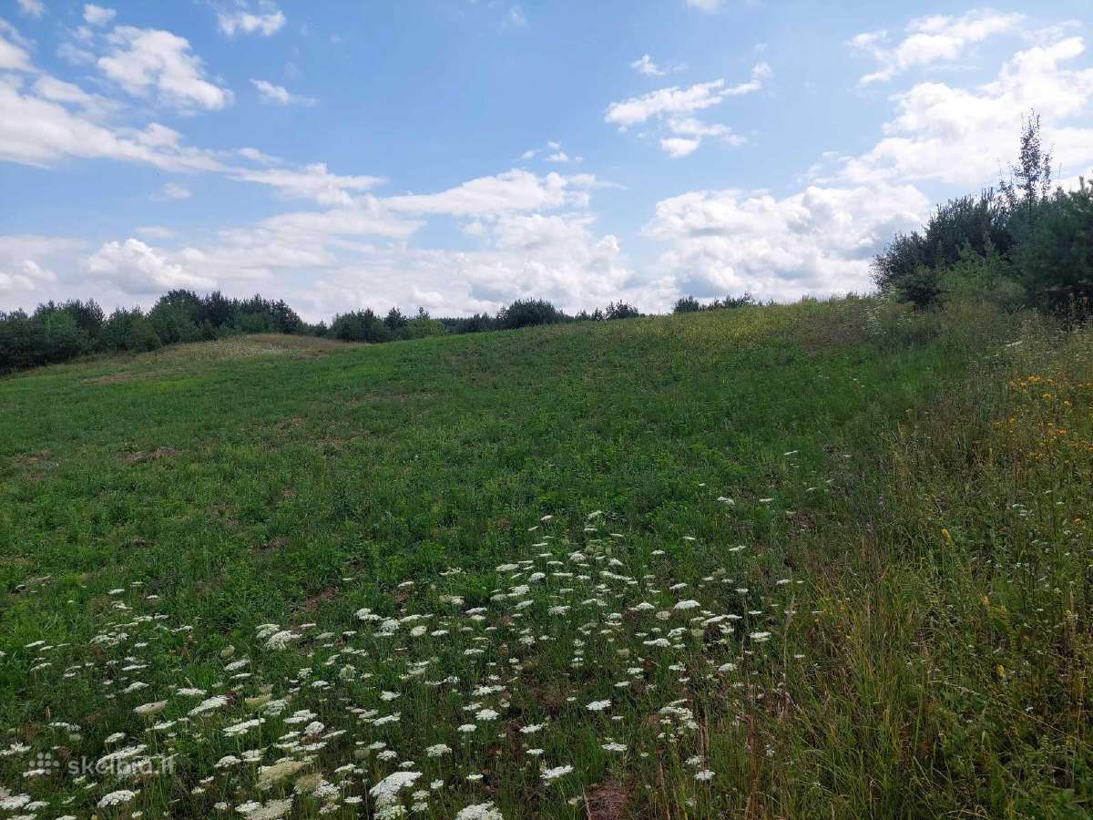 Žemės ūkio paskirties žemė - nuotraukos Nr. 3