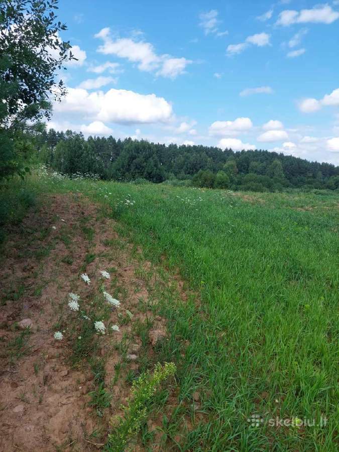 Žemės ūkio paskirties žemė - nuotraukos Nr. 6