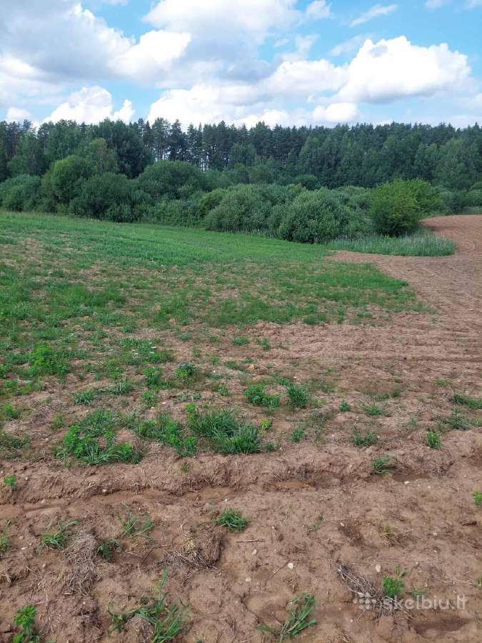 Žemės ūkio paskirties žemė - nuotraukos Nr. 4