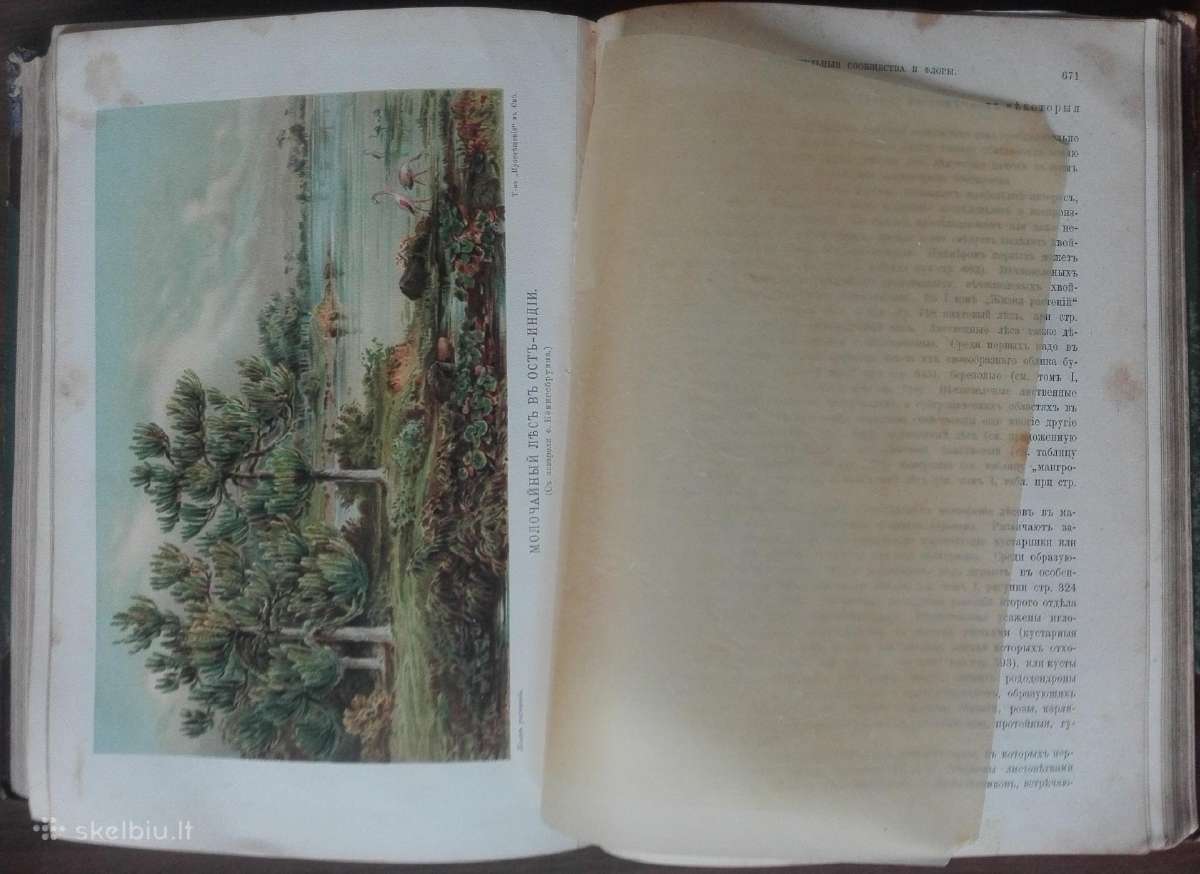 1739. Жизнь Растенiй А. Кернере фонъ-мариланунъ - nuotraukos Nr. 18