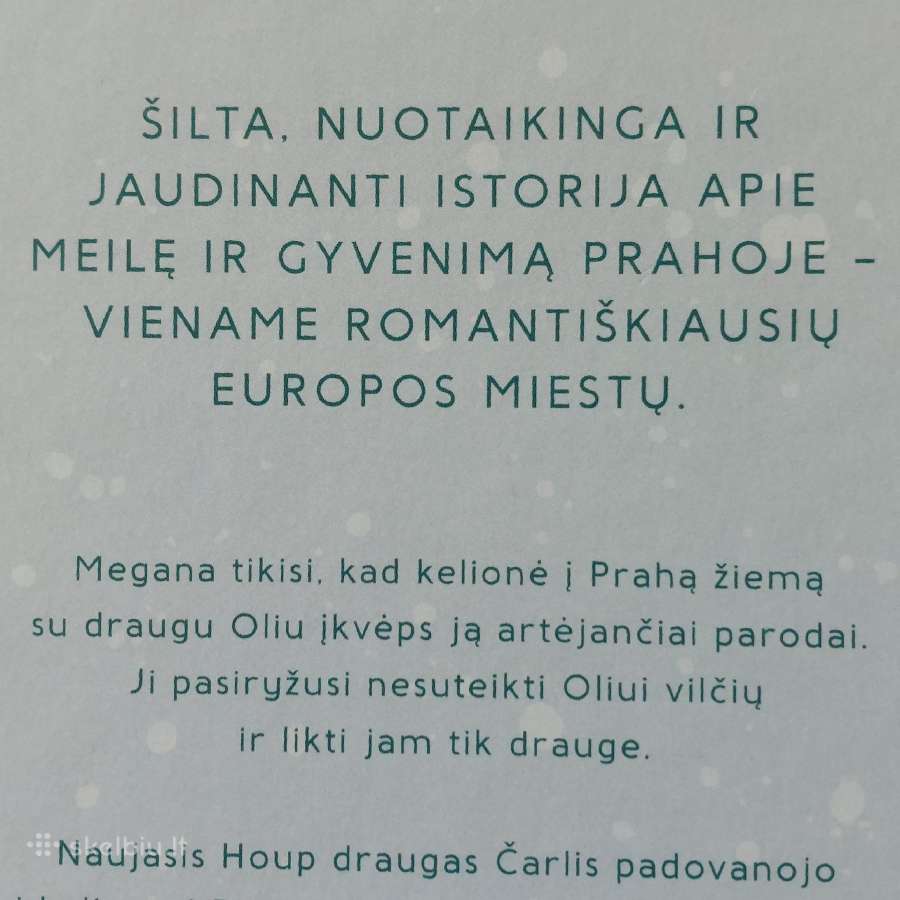 Isabelle Broom - Metai ir viena diena . - nuotraukos Nr. 10