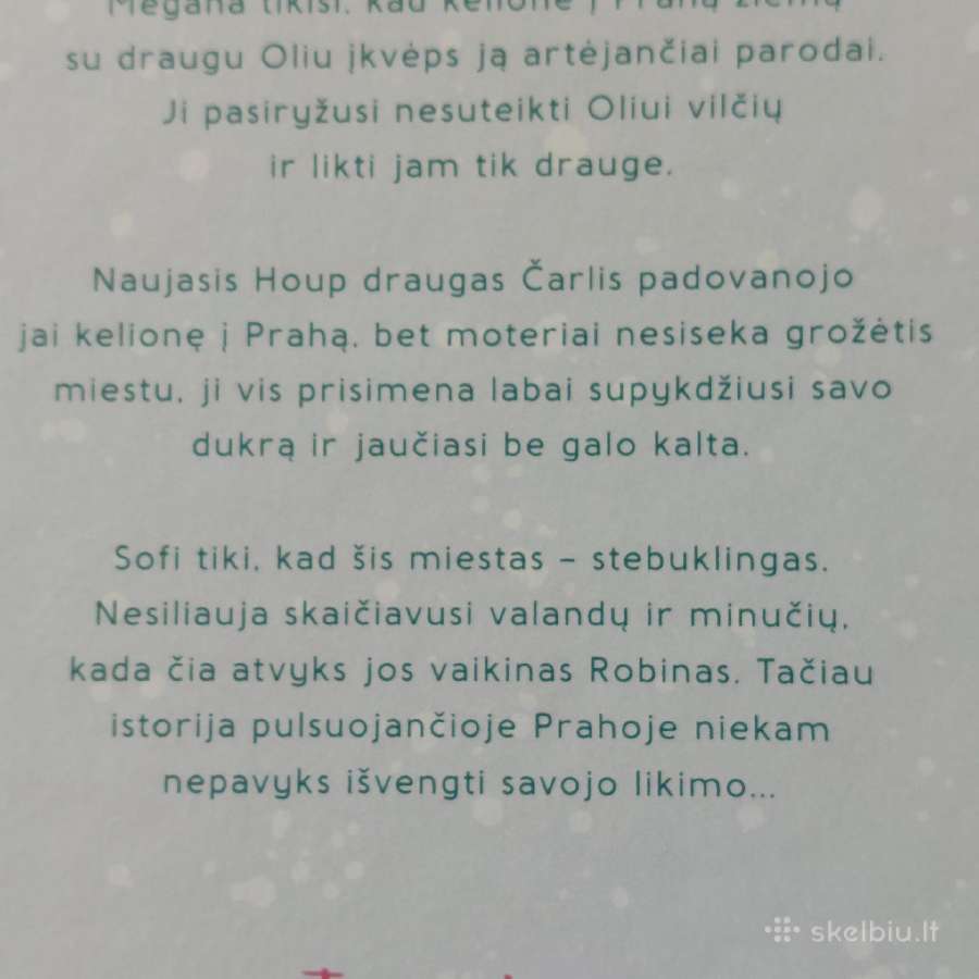Isabelle Broom - Metai ir viena diena . - nuotraukos Nr. 11