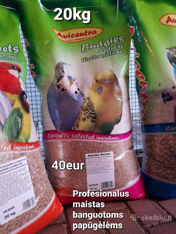 Profesionalus maistas papugoms - nuotraukos Nr. 4