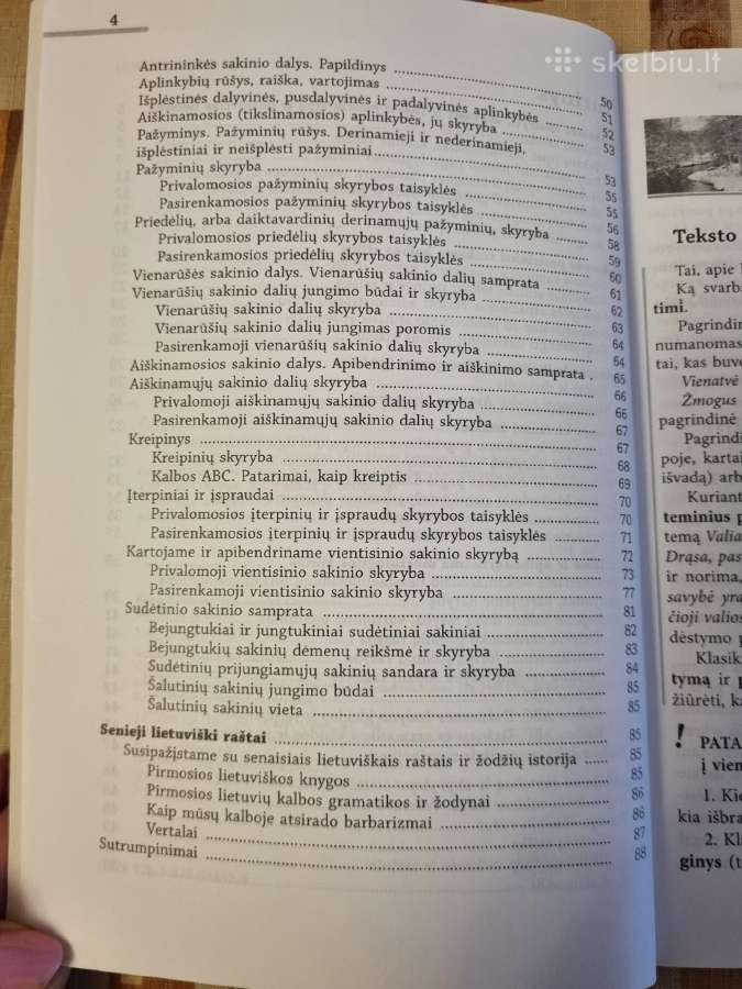 Lietuvių kalba 8 kl kurso konspektas - nuotraukos Nr. 5