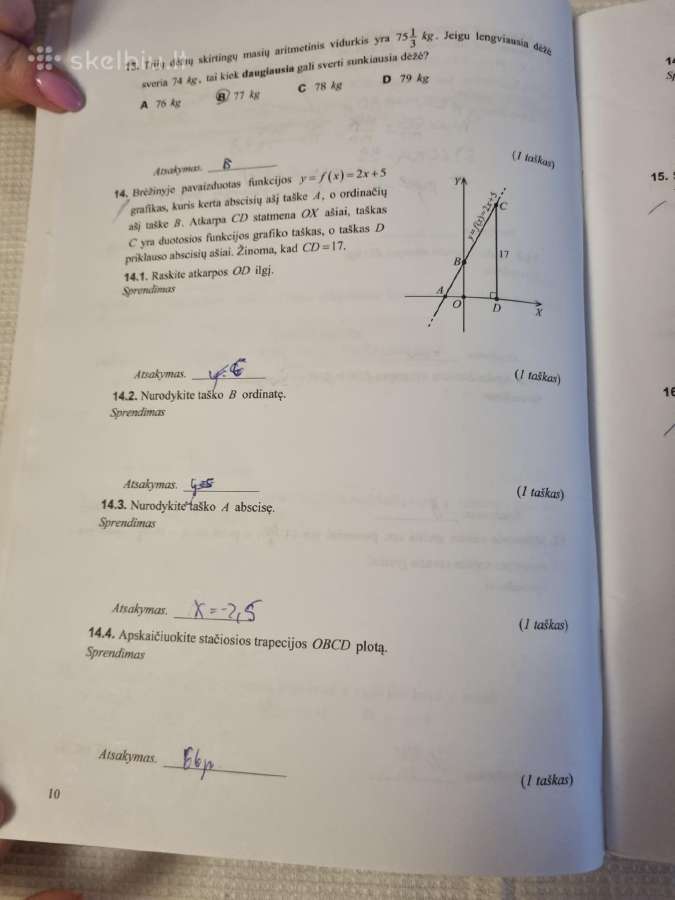 Pagalbinė priemonė matematikos pasiekimų patikrini - nuotraukos Nr. 5