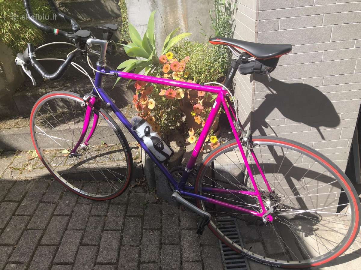 Bianchi,columbus,campagnolo,wheeler - nuotraukos Nr. 2