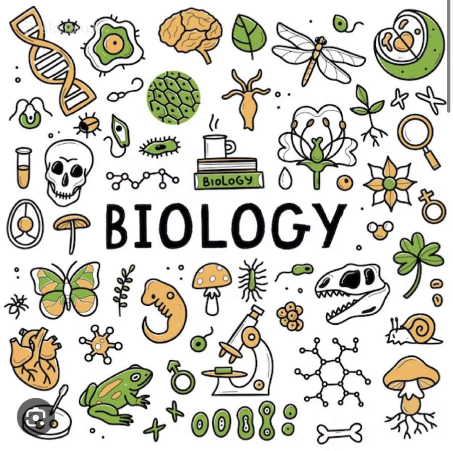 Biologijos korepetitorė Kaunas ir nuotoliniu būdu