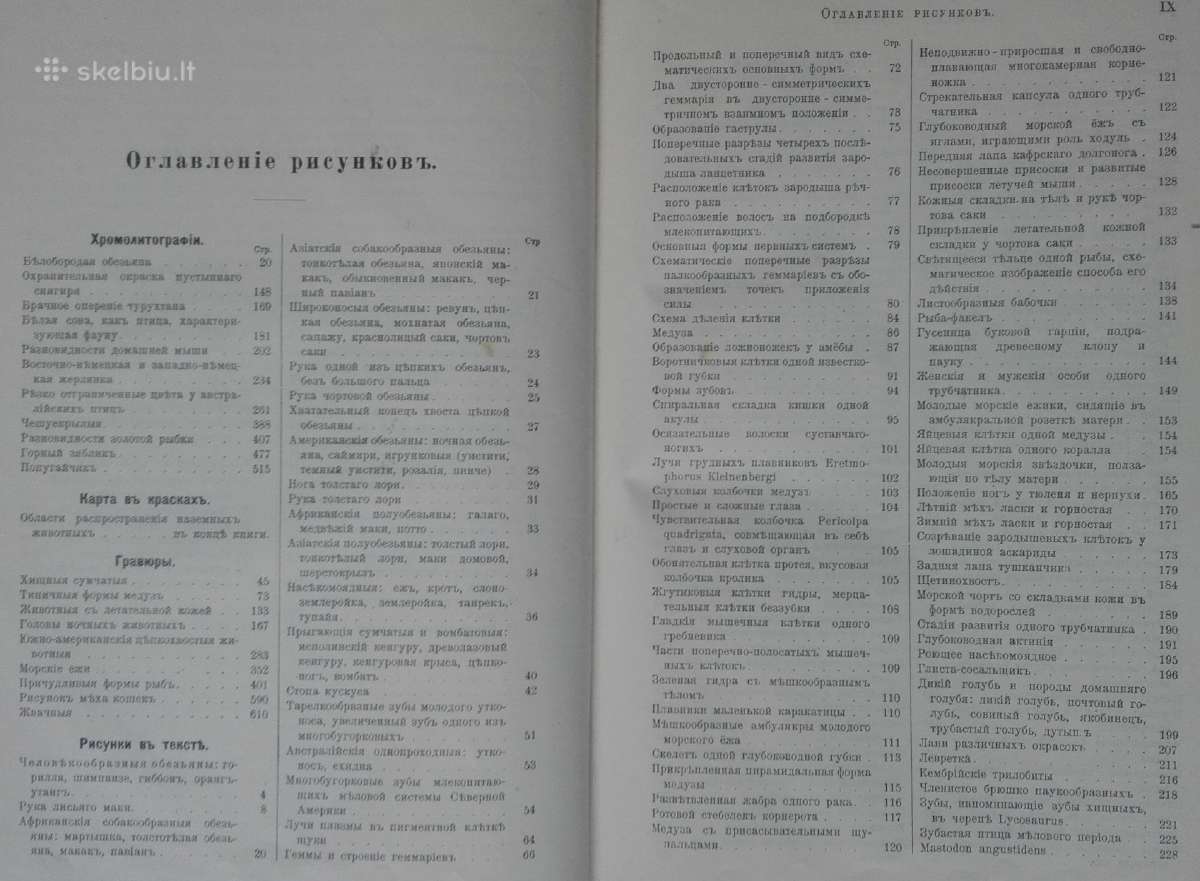1740. Происхожденiе Животнаго Мiра Вильгедьма Гаак - nuotraukos Nr. 7