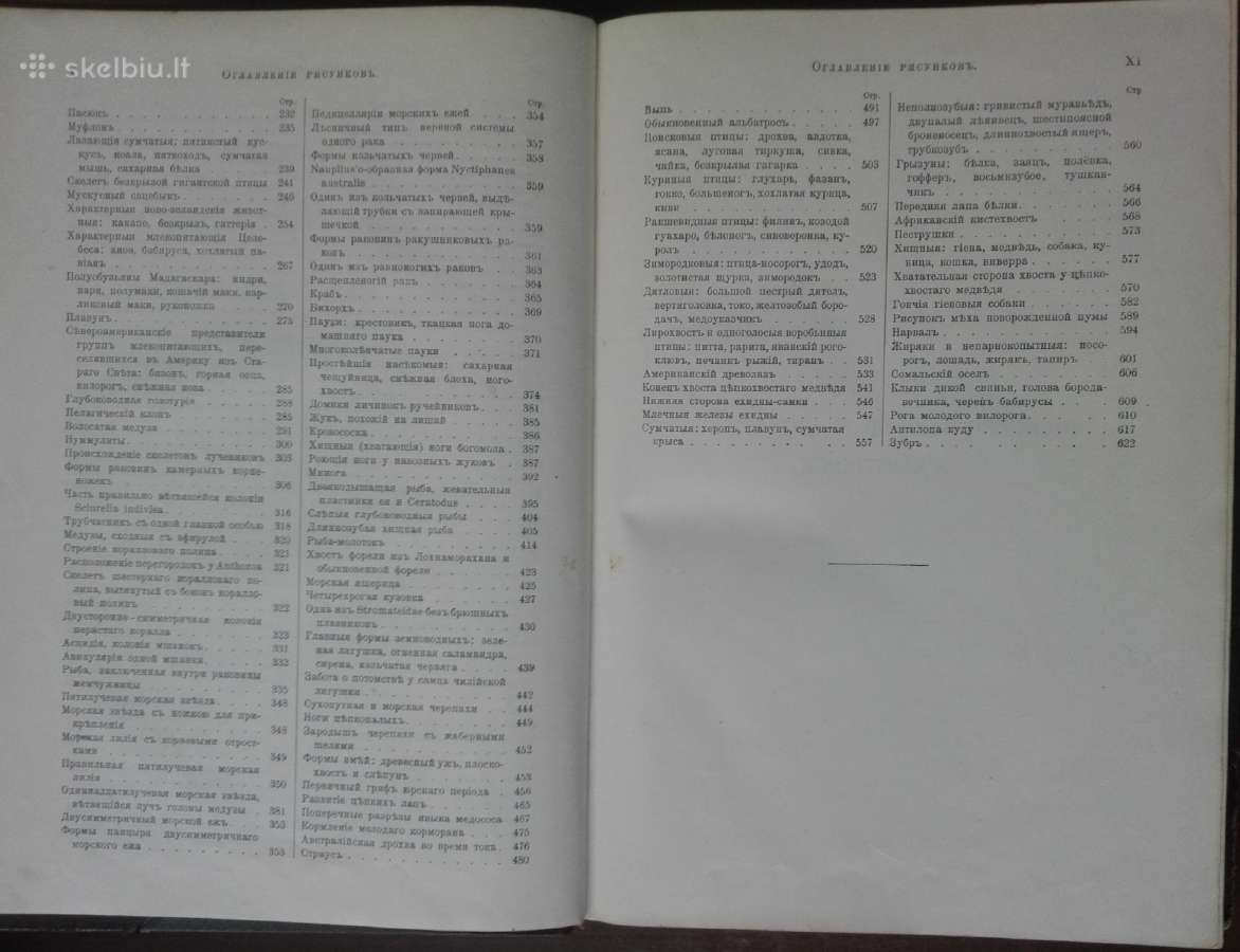 1740. Происхожденiе Животнаго Мiра Вильгедьма Гаак - nuotraukos Nr. 8