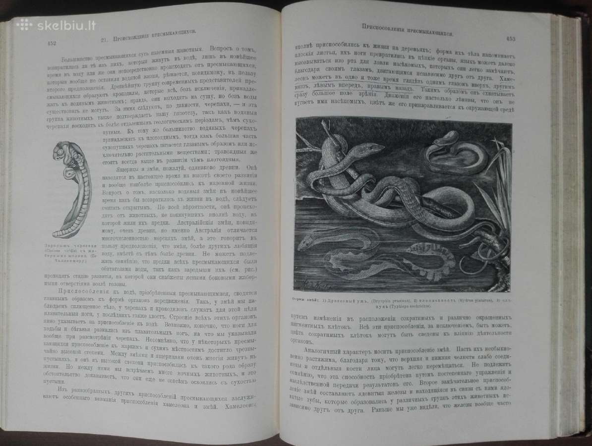 1740. Происхожденiе Животнаго Мiра Вильгедьма Гаак - nuotraukos Nr. 16