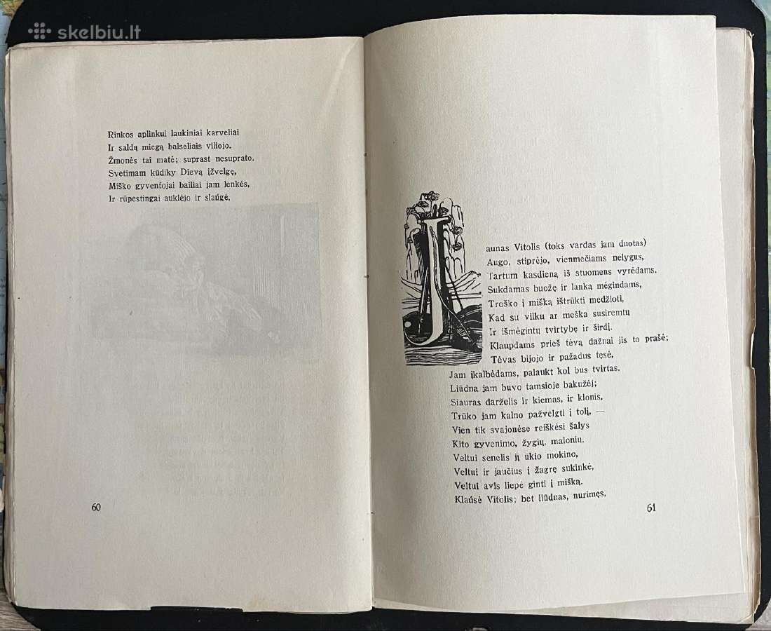 J.i. Kraševskis. Vitolio rauda - nuotraukos Nr. 2